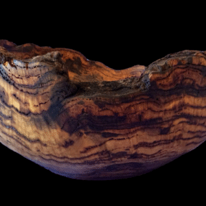 Handcrafted Burl Bowl